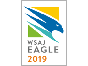 WSAJ 2019 Attorney